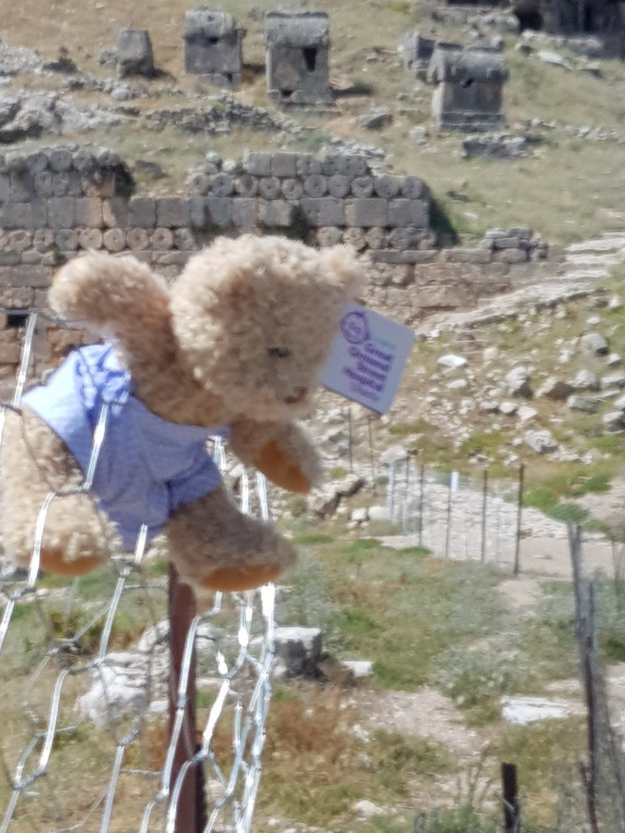 Kay Gallimore (@kaygallimore2) on Twitter photo 