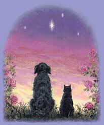 catgirl321's tweet photo. .@greycatlady #Purrs4Mom💔 PURR PURR PURR PURR PURR PURR PURR PURR PURR PURR PURR PURR PURR PURR PURR PURR PURR PURR PURR PURR #weeti #ForeverLove #AngelsTogether #AngelLucy #AngelRuby https://t.co/l13xMZbjRK