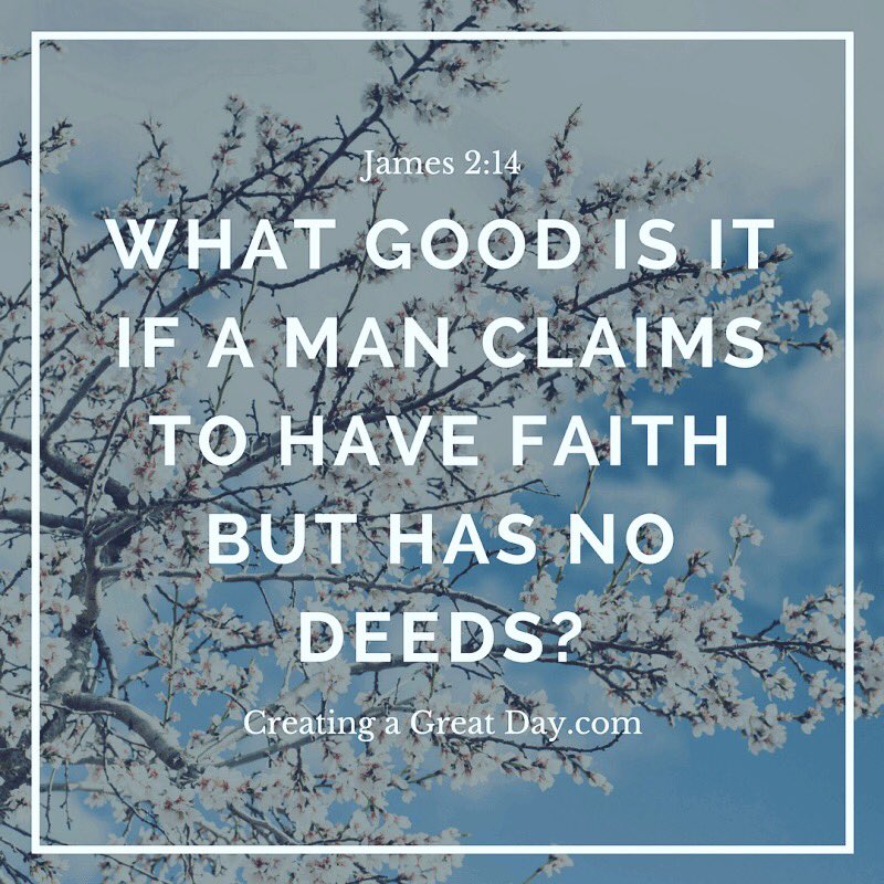 OLMStrong tweet media