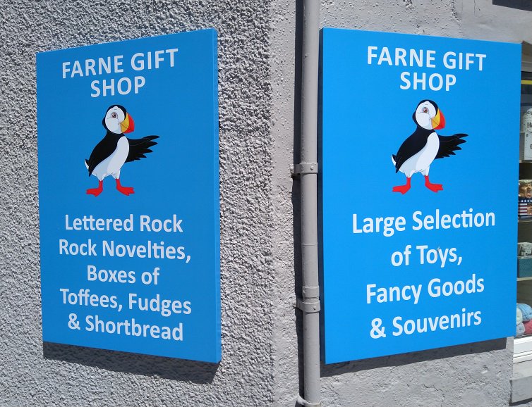 Not all the puffins have left the <a href="/NTFarneIslands/">The Farne Islands</a>!  Here are two in @LoveSeahouses we saw today! <a href="/SeahousesGolf/">Seahouses Golf Club</a> <a href="/staidanhotel/">St Aidans, Seahouses</a> <a href="/MatJobson/">The Old Granary</a> @SilverFoxDevelo <a href="/IndieFnD/">Indie Food & Drink</a> @Swallowfishltd <a href="/VisitNland/">Visit Northumberland</a> <a href="/NNTourism/">North Northumberland</a> @GiftsFarne @NTNorthd_Coast <a href="/RNorthumberland/">Radio Northumberland</a> <a href="/LundgrenTours/">Lundgren Tours</a> #Northumberland