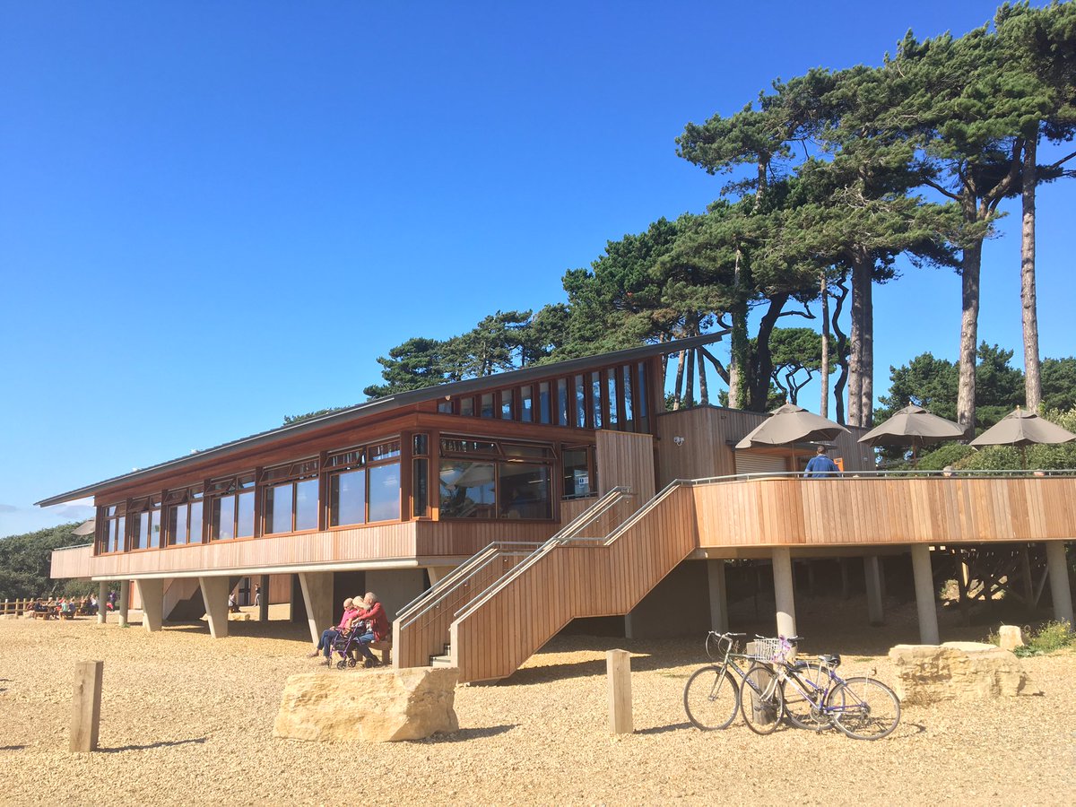 A sensitive approach to the new cafe @LepeCountryPark by @HCC_Architects with beautiful September sun to show it off #architecture #landscapes #timber #pinetrees #buildingonstilts #deck #sympatheticdesign