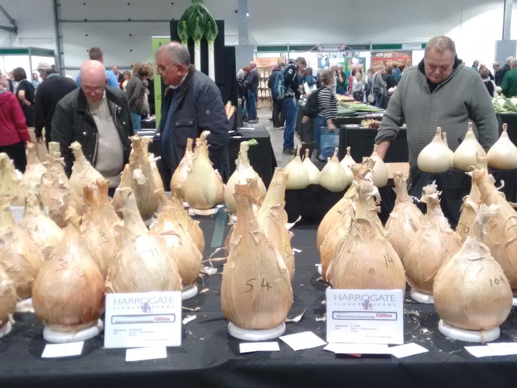 Giant veg by day, folk by night... Hope to see you this evening at @LiveAtAllHallow with <a href="/JimmyASidG/">Aldridge & Goldsmith</a> and I'll tell you about the humongous onions I saw today!  #livemusic #Leeds