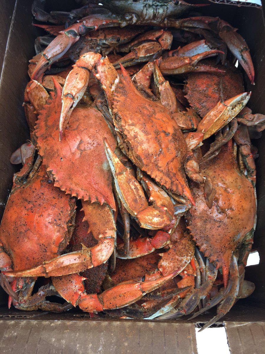 Kim Hartzell tweet media