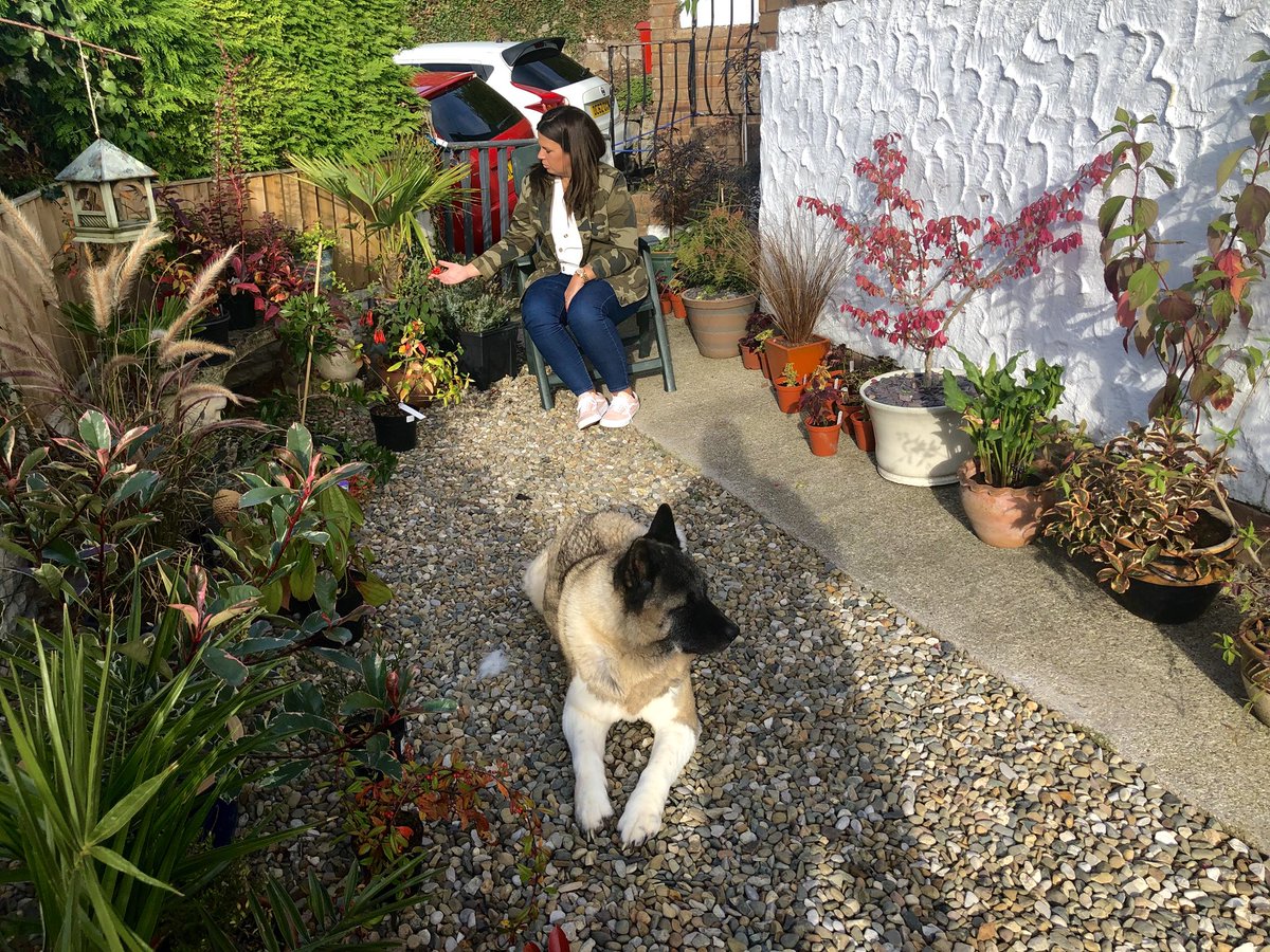 Enjoying the last bit of summer in the garden