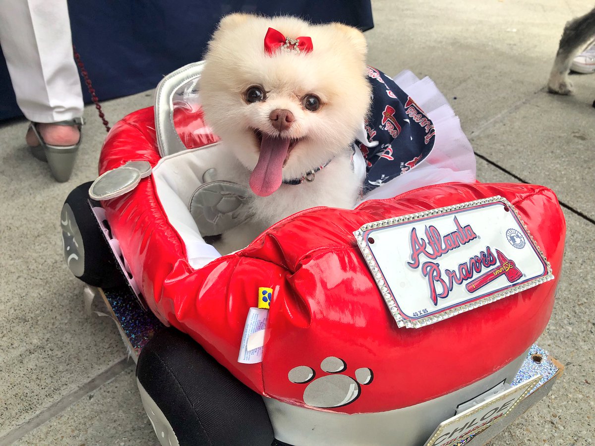 Atlanta Braves on X: We have some very good fans here today for Bark in  the Park 🐶  / X