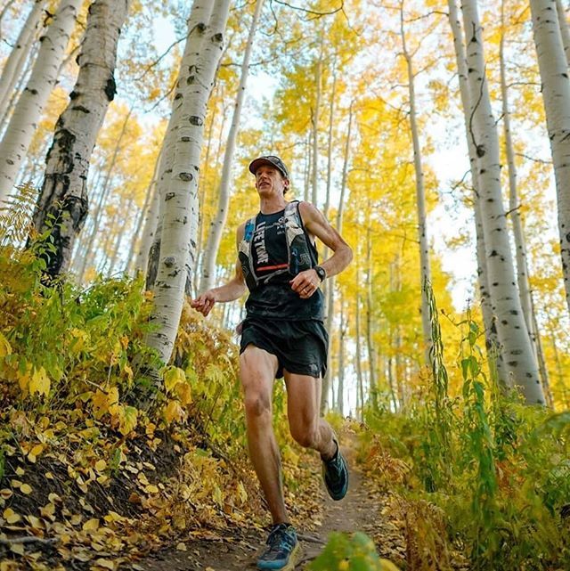 Run Rabbit Run 100 tweet media