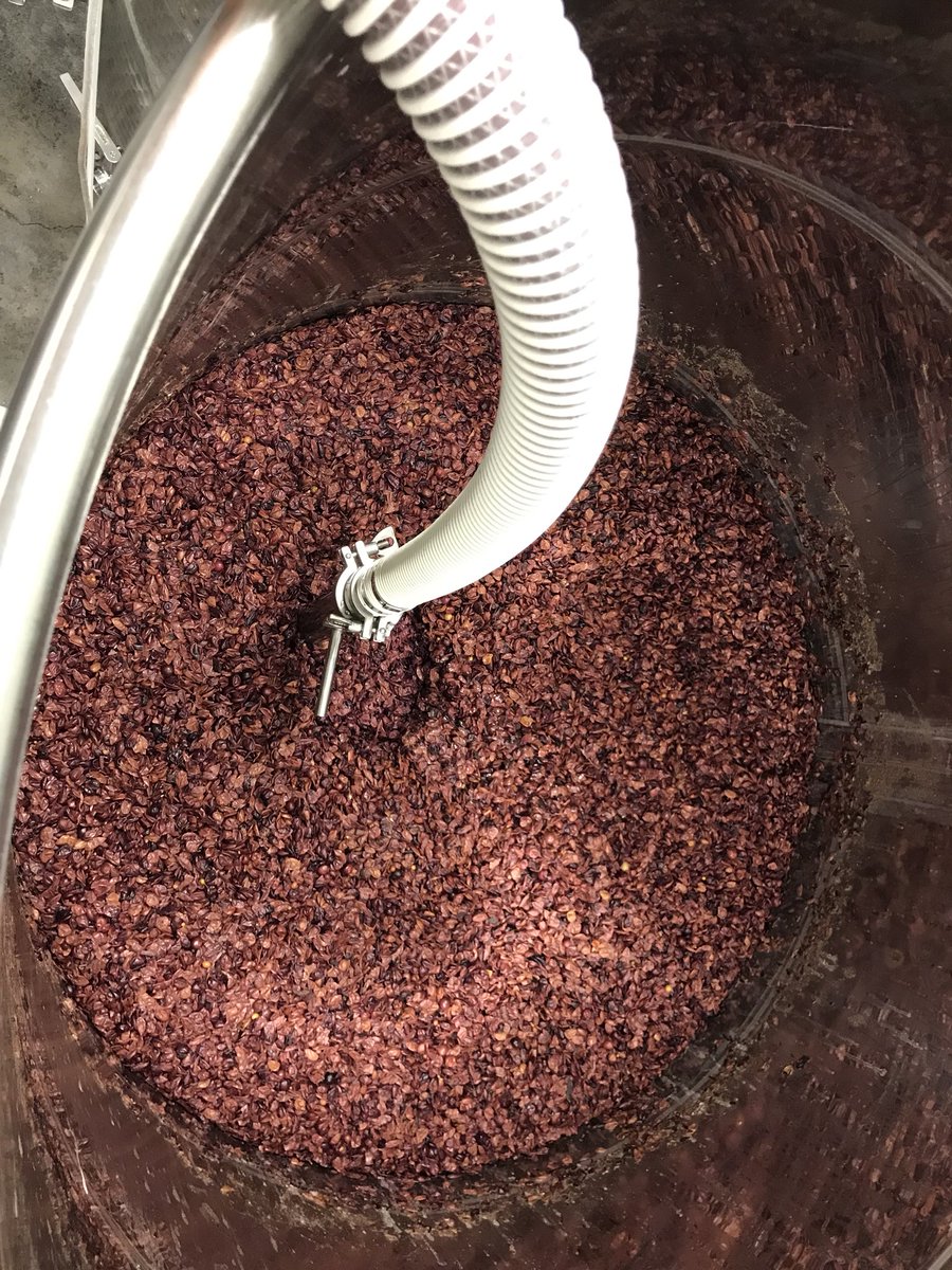 stanburnwine's tweet photo. Hurricane Florence can’t stop us from pressing our Barbera today. #vawine #pcva #swva #barbera https://t.co/qR3vVhVleD