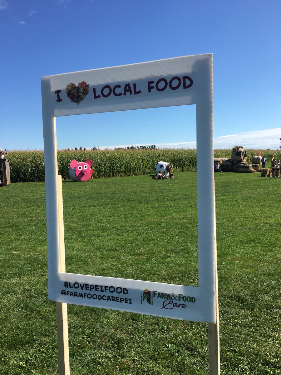 farmfoodcarepei's tweet photo. HAPPY OPEN FARM DAY!! Come visit Santina at Kool Breeze Farms this afternoon! πΎβοΈπ₯π½π
ππ₯πΈπ±π¦ #openfarmday #celebrateagriculture #agforeveryone #farmfoodcarepei https://t.co/KrrtacgKl1
