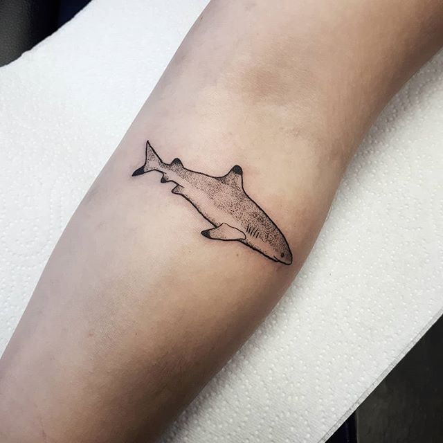 Jenny Allen  Bone and Ink on Instagram Dun dun dun dun A blacktip  reef shark done in dotwork  thanks in 2023  Shark tattoos Shark tooth  tattoo Tattoo shading
