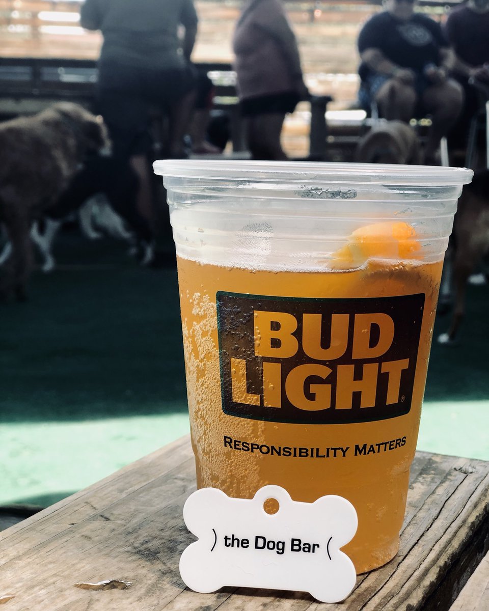 Football on the TV, Ice cold beer in the cup, and a ton of rowdy dogs. Let’s hope our team doesn’t fumble this beer😳🍺🏈 <a href="/DogBarStPete/">Dog Bar St Pete</a>