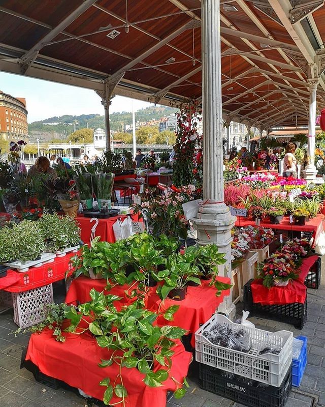 LaSalveBilbao's tweet photo. #Repost @olmar59 ・・・ El Arenal. Mercado de flores #bilbaocity #bilbaolovers #bilbaoturismo #verybilbao #bilbaoclick #igers_paisvasco #total_colors #total_flowers #total_paisvasco #be_one_street #be_one_city #be_one_hdr #ok_street … https://t.co/GnEN4uyu9z https://t.co/Jx9WXjZ5Wr