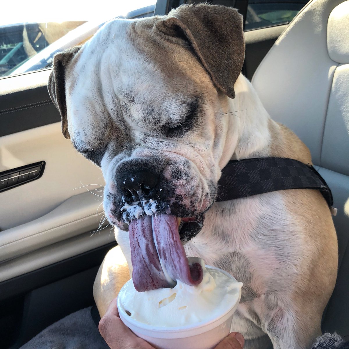 Oh hey ladies. Slide into my DMs.