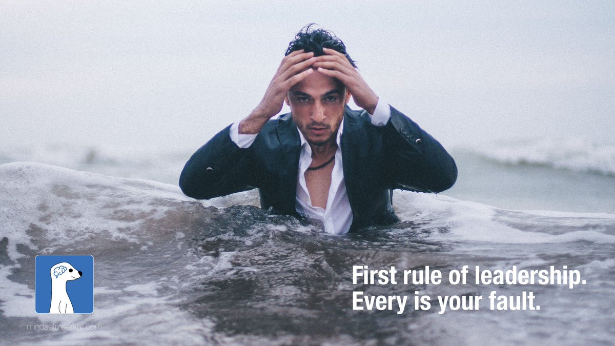 MeerkatMindset's tweet photo. First rule of leadership. Everything is your fault. @MeerkatMindset https://t.co/1hvAFli10O