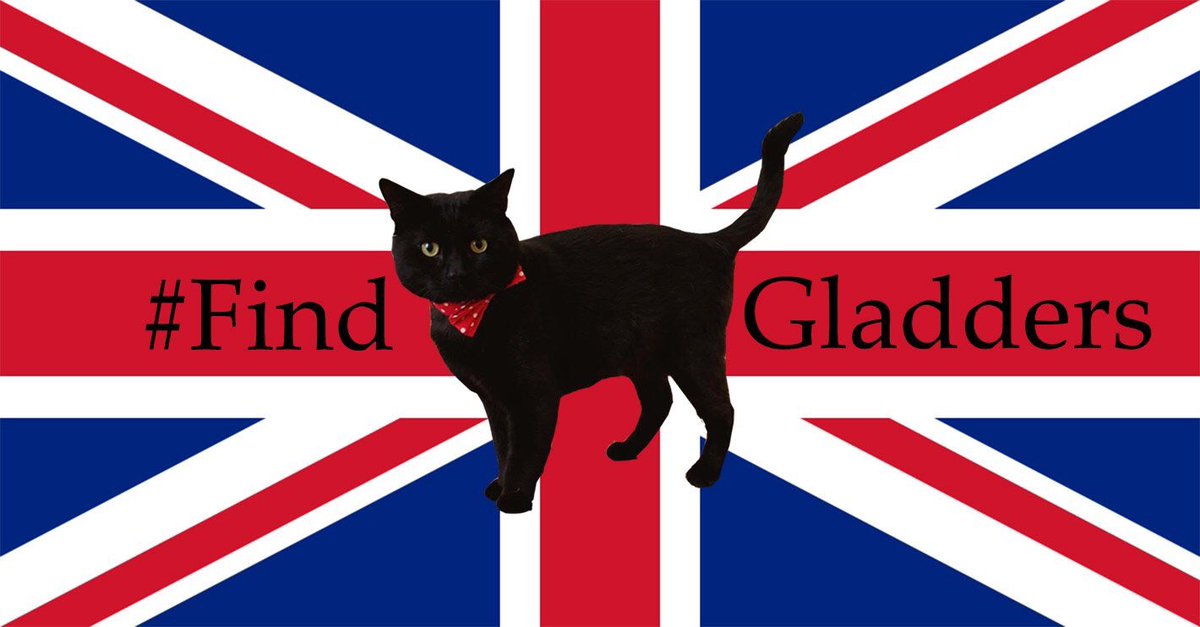 Tweetstorm! #FindGladders #FindGladstone Keep Retweeting. Keep looking. #Whitehall #Westminster