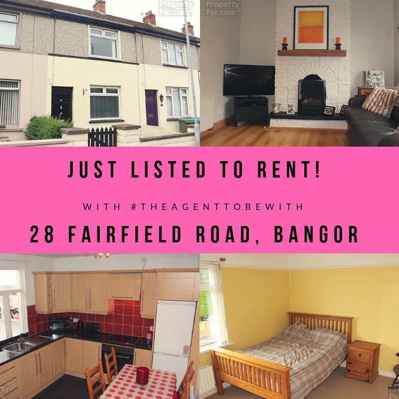 IP Estates tweet media