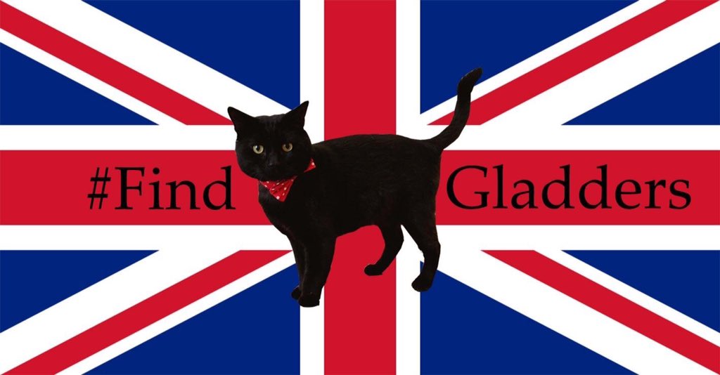 Find Gladstone, the wonderful @TreasuryMog is #missing #FindGladders #findgladstone #missingcatsuk #MissingCat #Westminster He must be somewhere!