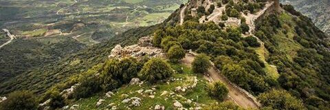 Mohammad_khafae's tweet photo. الكذب في بلادنا ليس استثناء، ولكنه من فرط التكرار صار يشبه الحقيقة https://t.co/RkDCwV76A2