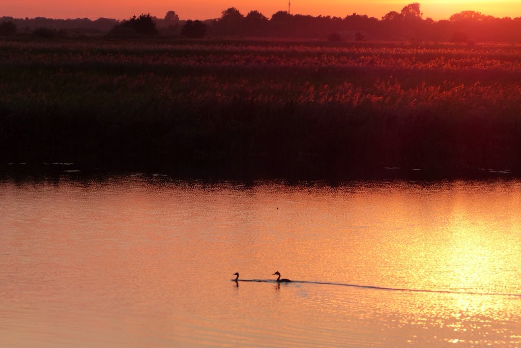 Ssunshot's tweet photo. #Groningen #Leekstermeer #Zonsondergang #16September2018
@Wnlvandaag @Helgavanleur @Mooieluchten @Mooielucht @BuienRadarNL @Rtvnoord https://t.co/dJnuQsX8Wk