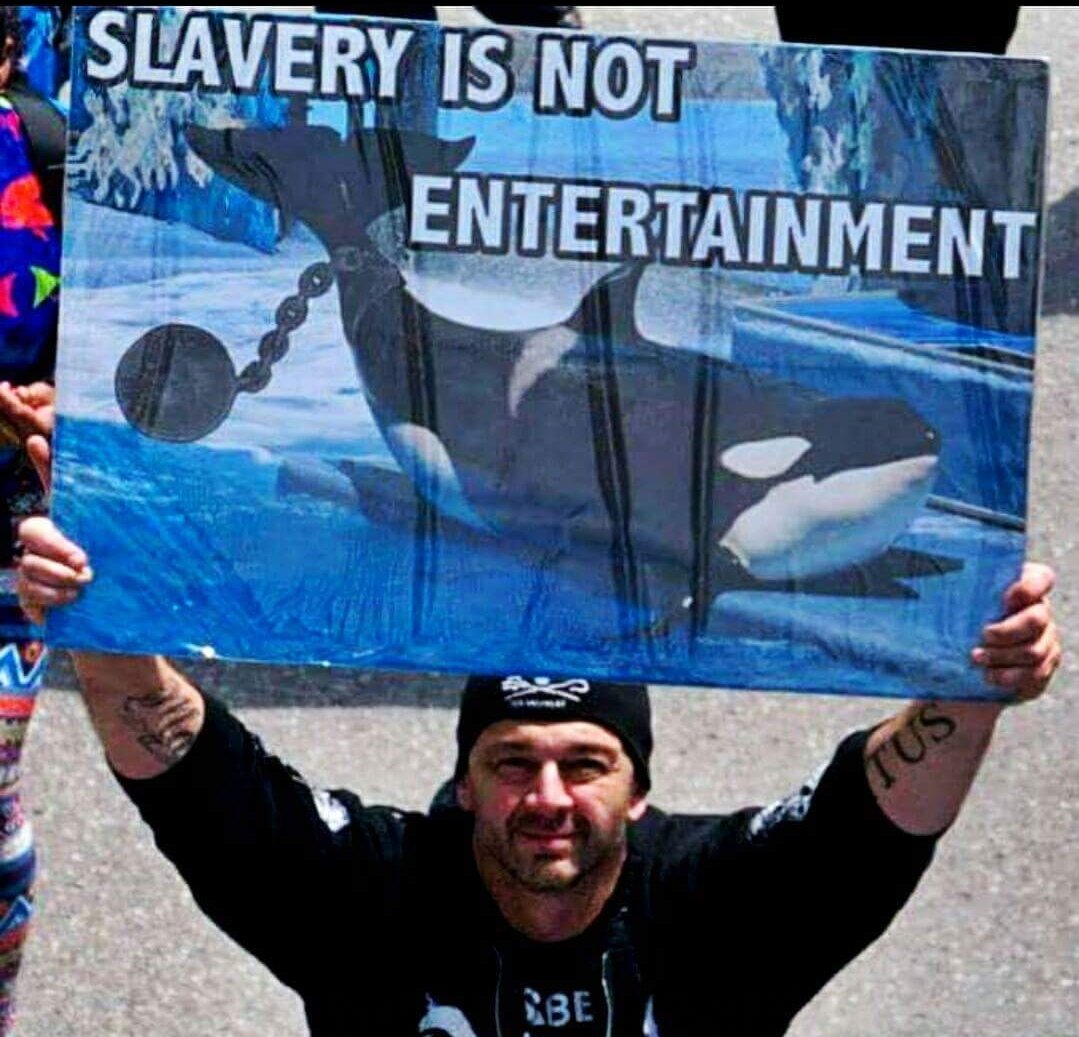 fenrirs_bite's tweet photo. Some #SeaShepherd love. @seashepherd #fortheoeans #stopthegrind #taiji #anticaptivity #whales #dolphins https://t.co/uoQXXtoe7O