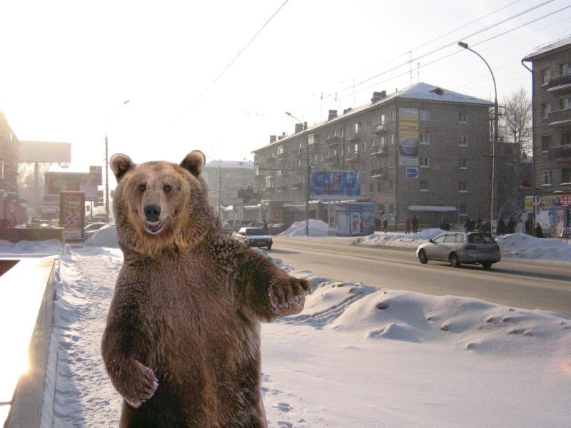 Michael28813919's tweet photo. Russians think that Americans think that bears are walking the streets in Moscow. In fact, bears do not go to Russian cities,and Americans do not have a stereotype about Russia.
#like#follow#followme#foto#winter#time#liketime#russia#vacation#travel#style#i #russiantours#vacation https://t.co/twQQapYiai