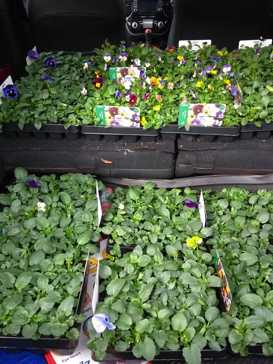 ElderslieCommu1's tweet image. Thanks to @GLA_Airport #flightpathfund we were able to purchase planters and flowers for our village 🌸🌸#positiveelderslie #community @KSBScotland @RenCouncilNews Thanks to @dobbies for the donation of pansies!
