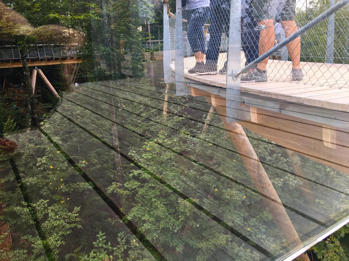 Die Bilder zum Tag.
#Baumwipfelpfad #Mogelsberg #Toggenburg <a href="/MySwitzerland_d/">Schweiz Tourismus</a>