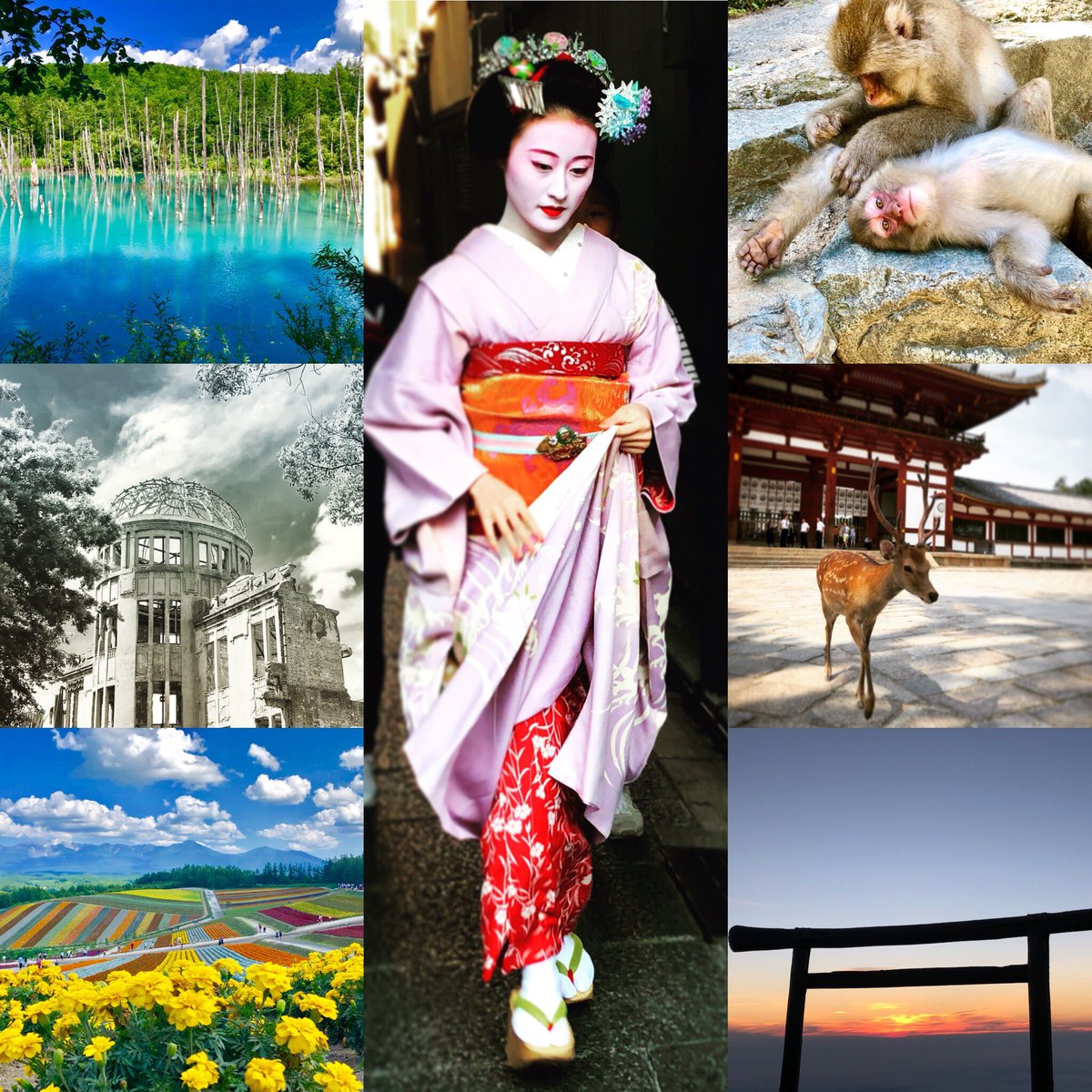 Exploring Japan this summer was truly magical 😍 #japan #travel #soulfood