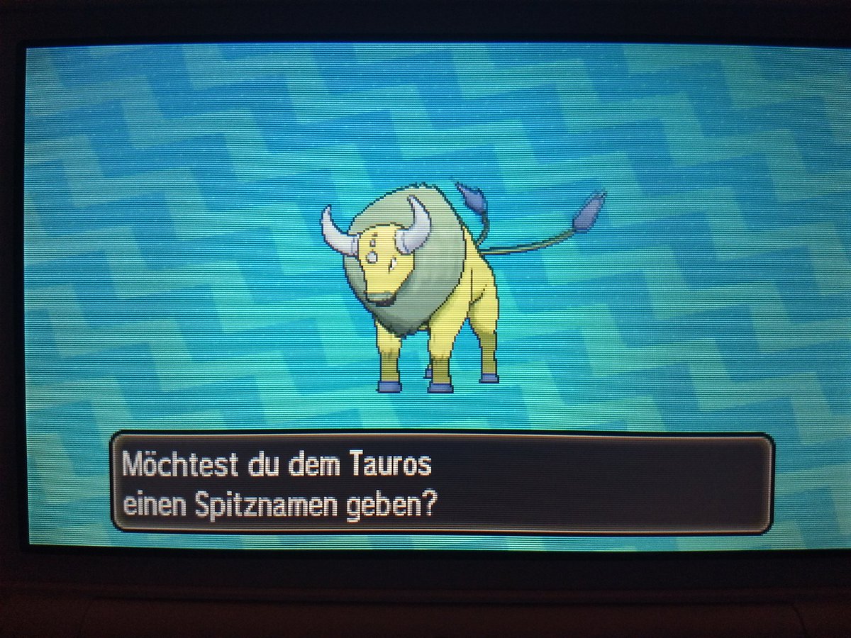bushidooootiger's tweet photo. Shiny Tauros aka Zuchtbulle nach 876 Eiern #shunten #sbreeding @schnuhz @TheSakatiS https://t.co/nK9ORusNd0