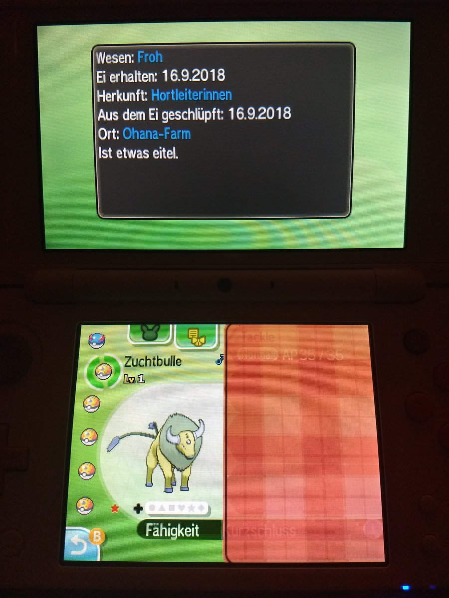 bushidooootiger's tweet photo. Shiny Tauros aka Zuchtbulle nach 876 Eiern #shunten #sbreeding @schnuhz @TheSakatiS https://t.co/nK9ORusNd0