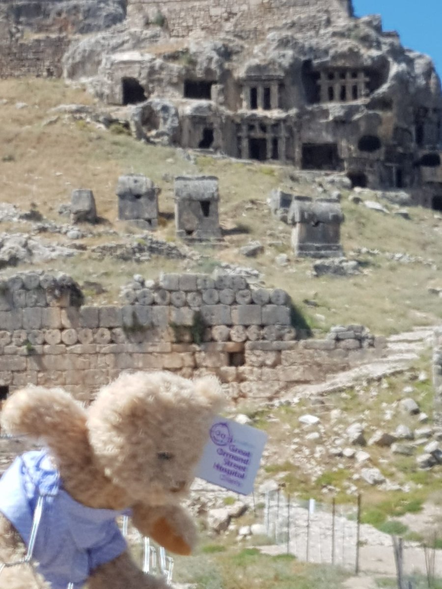 Day 6 and bernard the bear can't stop site seeing with our head housekeeper Kay. he is having loads of fun 😃 <a href="/SDEBDD/">simon ewins</a> <a href="/paulallancurtis/">Paul Curtis 💙</a> <a href="/thebirdlane/">Natasha Lane</a> <a href="/placemadebyyou/">A Place Made By You</a> <a href="/KayGallimore2/">Kay Gallimore</a>