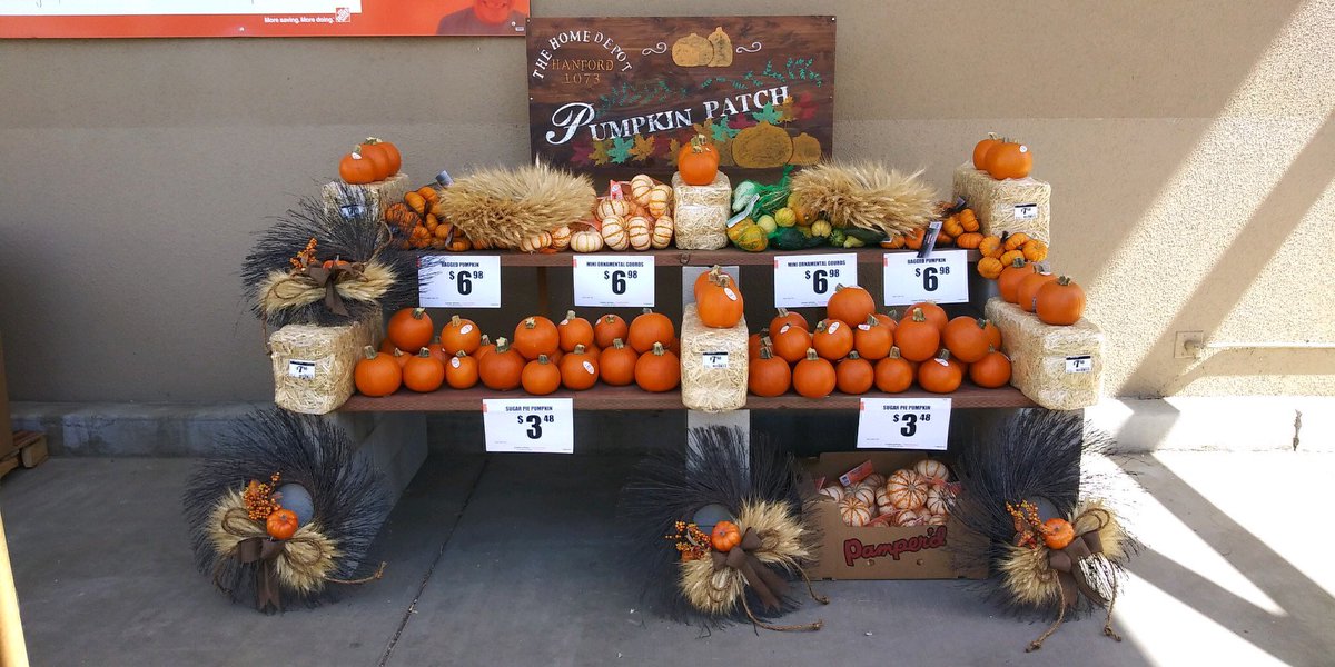 bryanpuentes00's tweet photo. Pumpkin season is upon us! We’re ready to sell some pumpkins over at Hanford Home Depot! https://t.co/yjfadujpIl