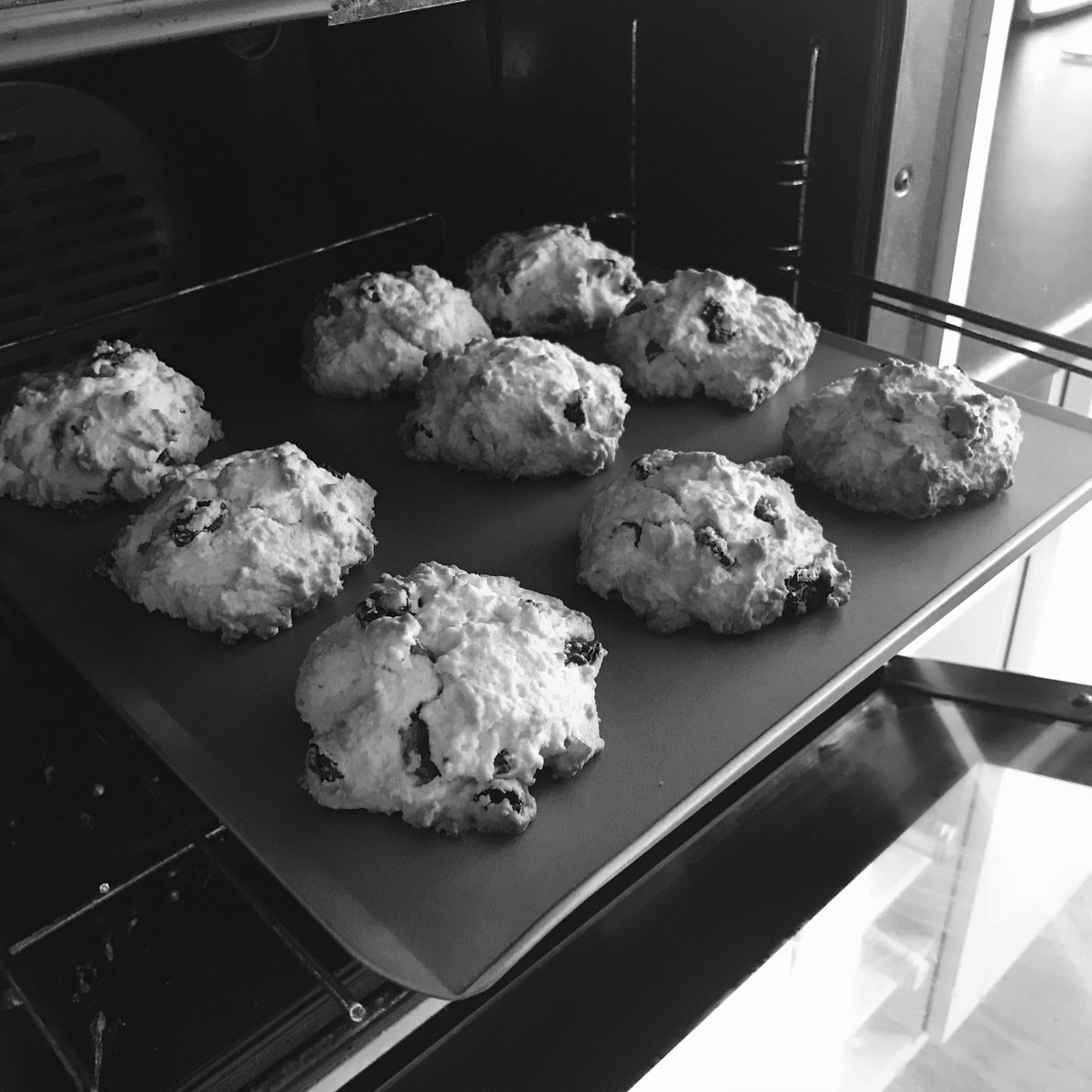 Day 6 of 7 of black and white photos of my life with no explanation and no humans. Nominated by <a href="/mm_musicmakers/">Music Makers</a> and today I nominate <a href="/vee72v/">vera robinson</a>