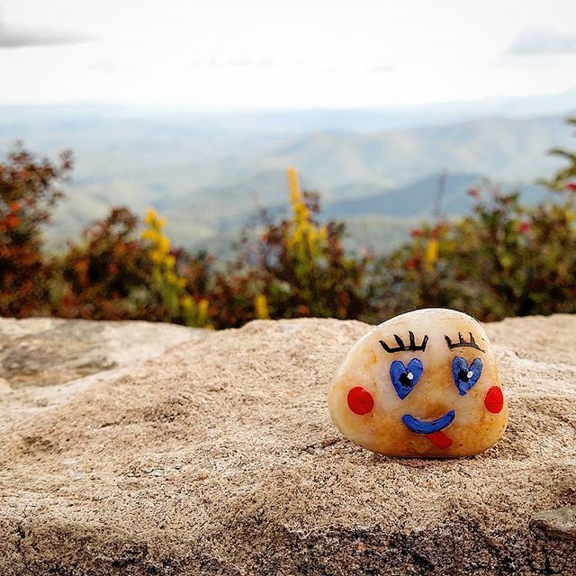 ChelseaMartin20's tweet image. Also, one more of Lil' Guy enjoying the mountain view in North Carolina from the top of the "Devil's Courthouse". ift.tt/2QAVBmK