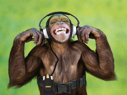 mad_monkees's tweet photo. Alerta aos macacos de Curitiba! Hoje às 22h na @MundoLivreFM será nossa estreia no quadro capturamos do programa Captura Mundo Livre! Sintonizem lá e aumentem o volume! #keepmad #madmonkees #rockbr https://t.co/MeKab5WPpw