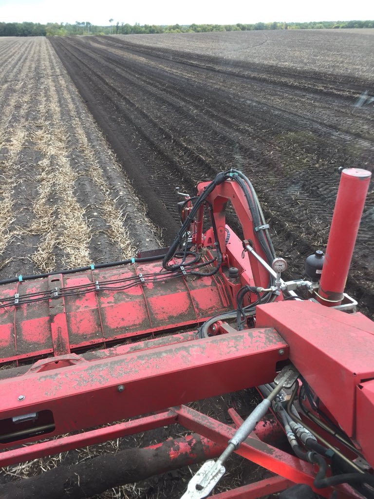 Nice spread on the rye applied by <a href="/JonairLtd/">Jonair (1988) Ltd.</a> Starting to sprout as we had rain on it since. Digging the field today and letting that mix it in. 1 bu per acre just for a cover.