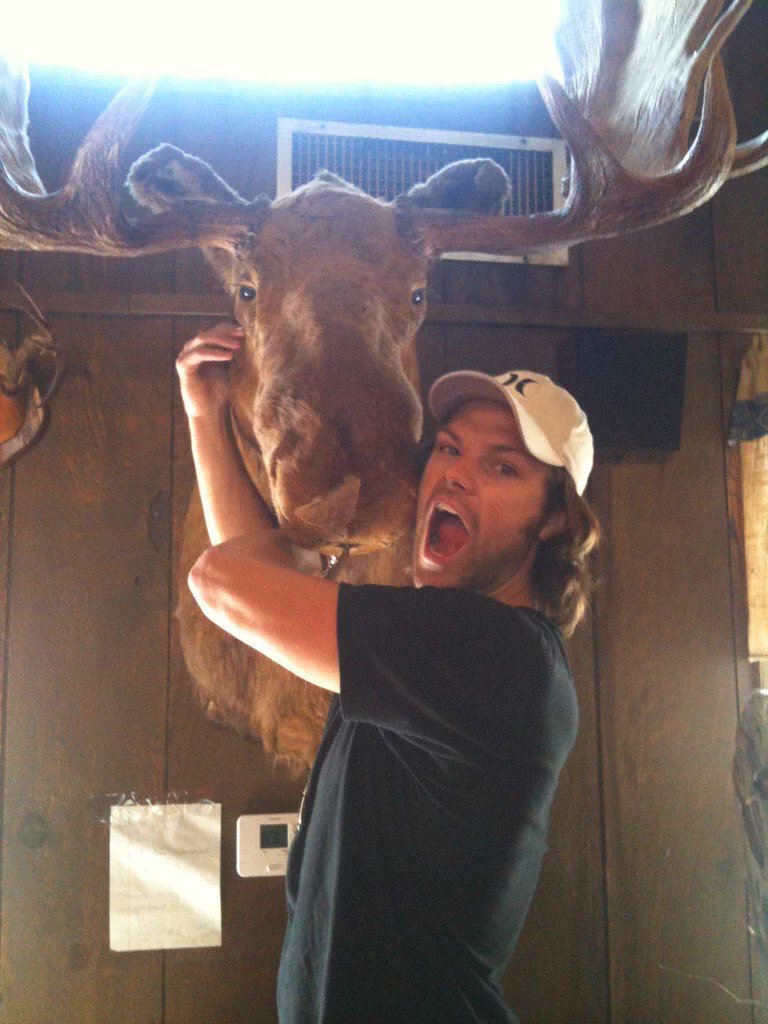 SPN_TWDdisease's tweet photo. Who doesn't know the Moorrel Animal!?! 😁🤗
I Love it 🤘😀
#moose #SamWinchester #JaredPadalecki #squirrel #DeanWinchester #JensenAckles #nicknames #crowley #kingofhell #marksheppard @Mark_Sheppard   #Supernatural #spn #SPNFamily ❤ https://t.co/11JRtF46up