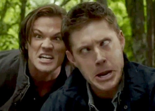 SPN_TWDdisease's tweet photo. Who doesn't know the Moorrel Animal!?! 😁🤗
I Love it 🤘😀
#moose #SamWinchester #JaredPadalecki #squirrel #DeanWinchester #JensenAckles #nicknames #crowley #kingofhell #marksheppard @Mark_Sheppard   #Supernatural #spn #SPNFamily ❤ https://t.co/11JRtF46up