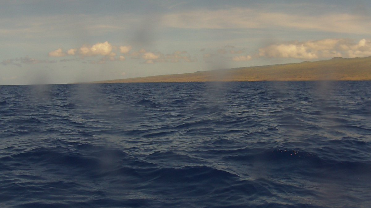 A pic is worth 1000 words #aloha #drone #hawaii #java #robotics
