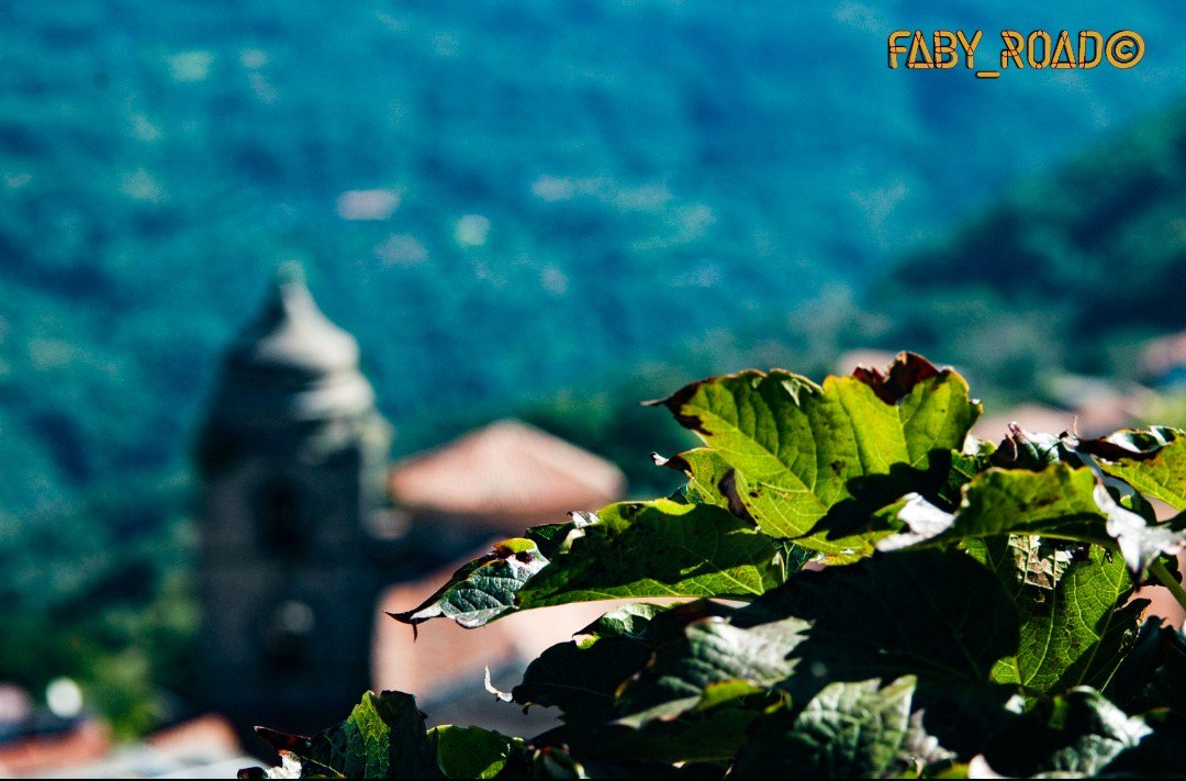 faby_road's tweet image. #bokehaddicts#campanile#galatimamertino#bokehaddicted#bokeh#macrophotography#nikon#scorci#instabokeh#bokehlicious#bokehphotography#instamacro#instanikon#instagood#picoftheday#instaphotography#instaphotos#nature#instanature#landscape#framed