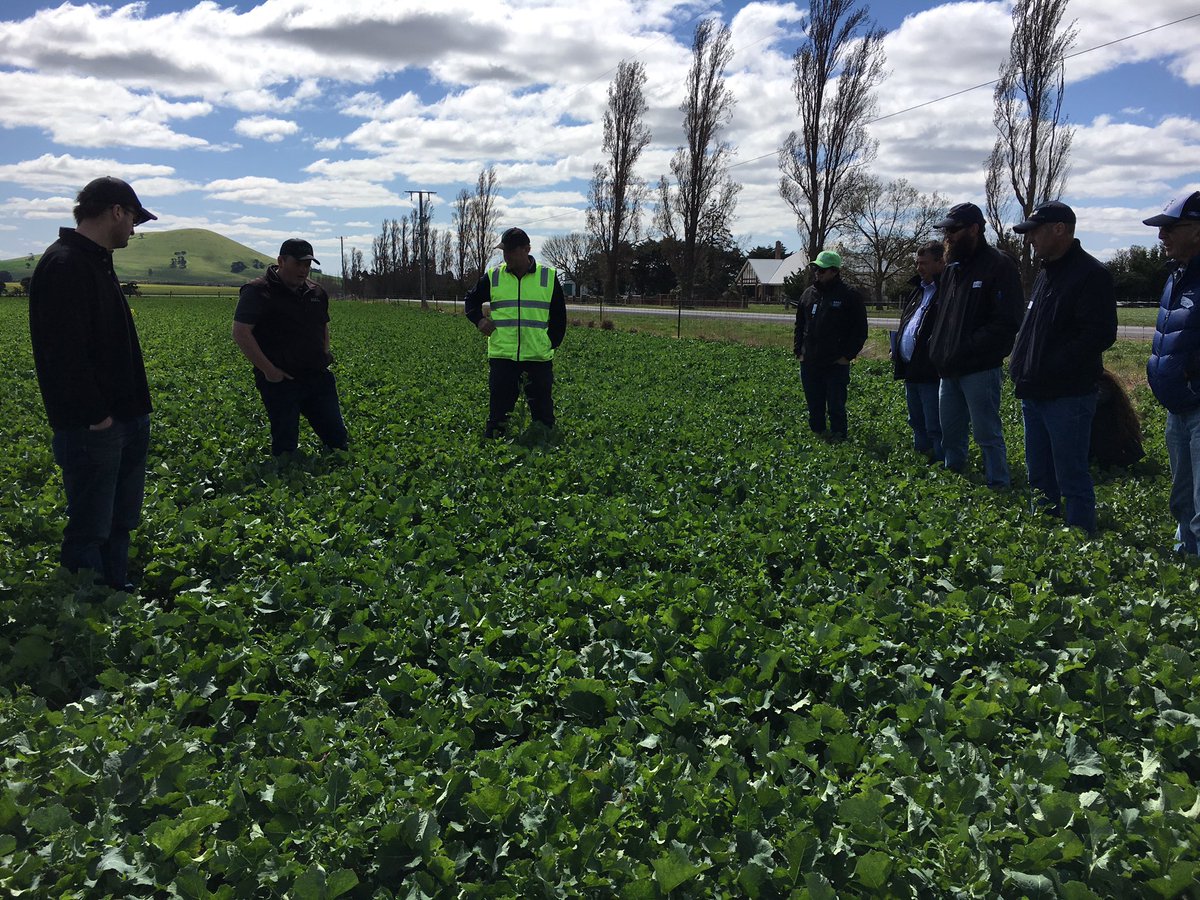 ChrisBlanchard_'s tweet photo. @theGRDC Southern panel on tour at #AGFSeeds #GrainsRDE https://t.co/utvtHLsAvw