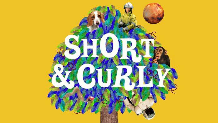 ABCEducationAU's tweet photo. Have you ever pondered fun and tricky questions like 'what’s the point of school uniforms?' You're not alone! #ShortandCurly https://t.co/GQhJ4eVw9b https://t.co/0wJkKfXcwt