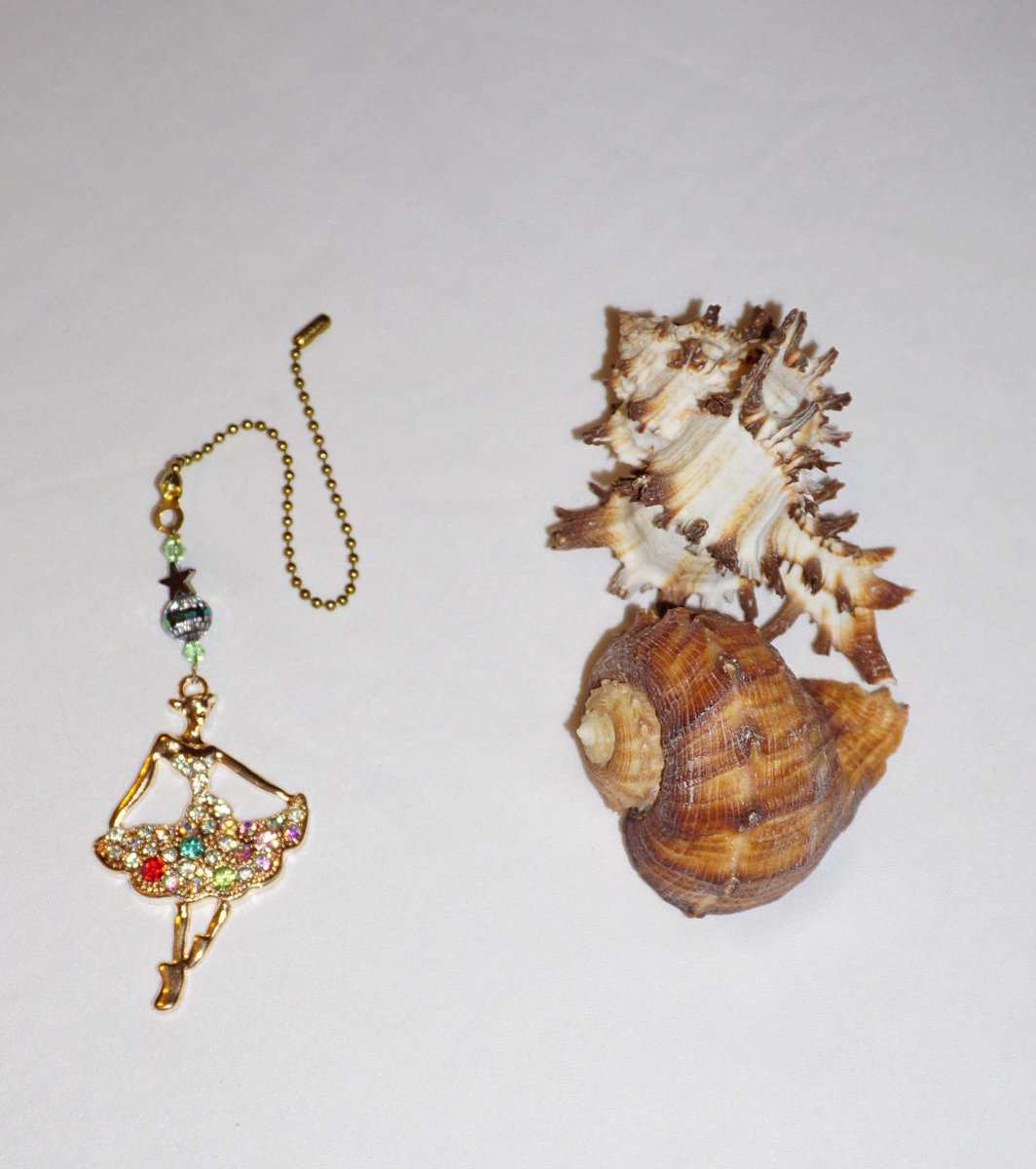 Sunli Earth Dreams On Twitter Excited To Share The Latest