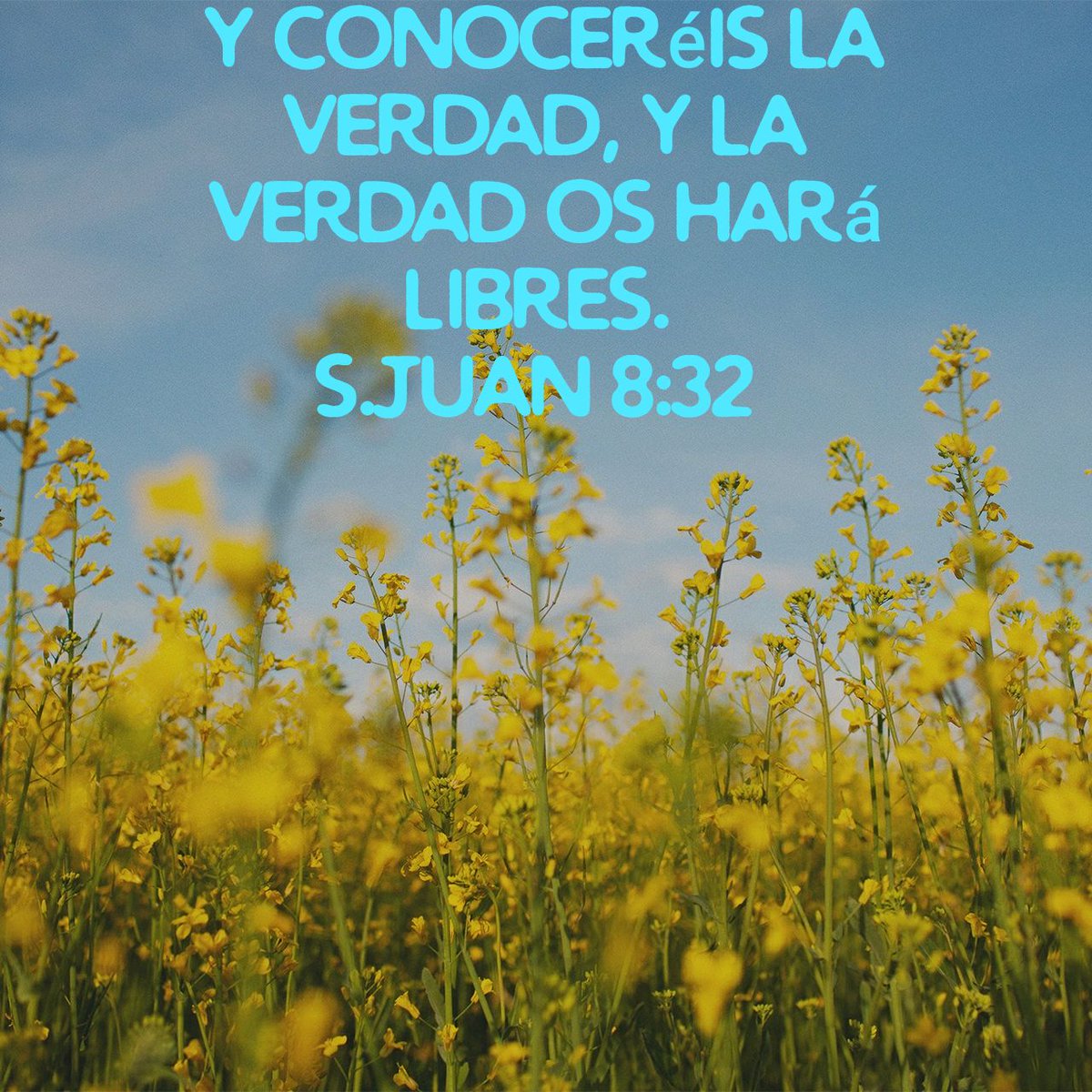 Mensaje De Esperanza. ( Lisette Derout) on Twitter: "y conoceréis la  verdad, y la verdad os hará libres. S.Juan 8:32 RVR1960… "