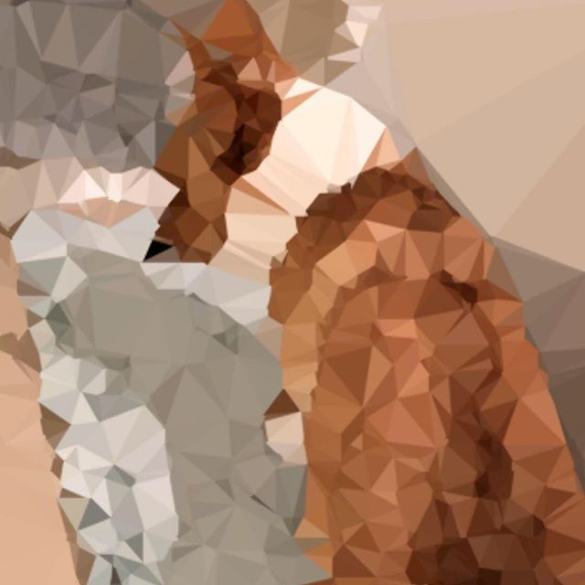 corgiceo's tweet photo. #polygoncamera #corgi #corginometry https://t.co/iUkQBz4qib https://t.co/HWUT2wYNLF