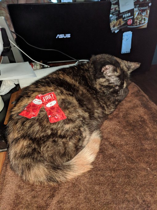 The hottest pussy https://t.co/0qYm0ipeYB<a href="/tag/mytwitteranniversary"class="tags"><span>#mytwitteranniversary</span></a>