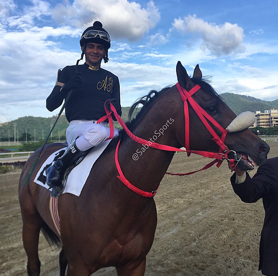 guardi19's tweet photo. #Hipismo APISTOS superior en Copa TACONEO 2018. Felicitaciones a sus conexiones. Yunta: Jorge Urdaneta-Fernando Parilli. https://t.co/dTl4PZXDC7 (VIDEO) #HarasOropal Foto @sabatosports https://t.co/qkG0kd8rw7