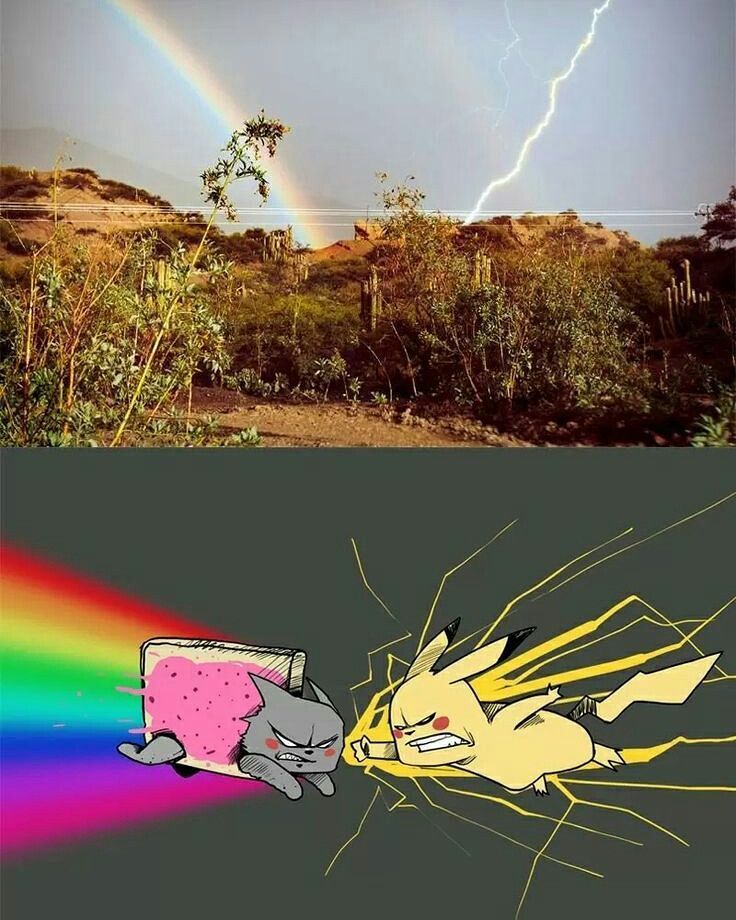 queen_saru's tweet image. 😂🌈⚡
#nerdy #nerdythings #pokemon #pikachu #nyan #nyancat #fanart