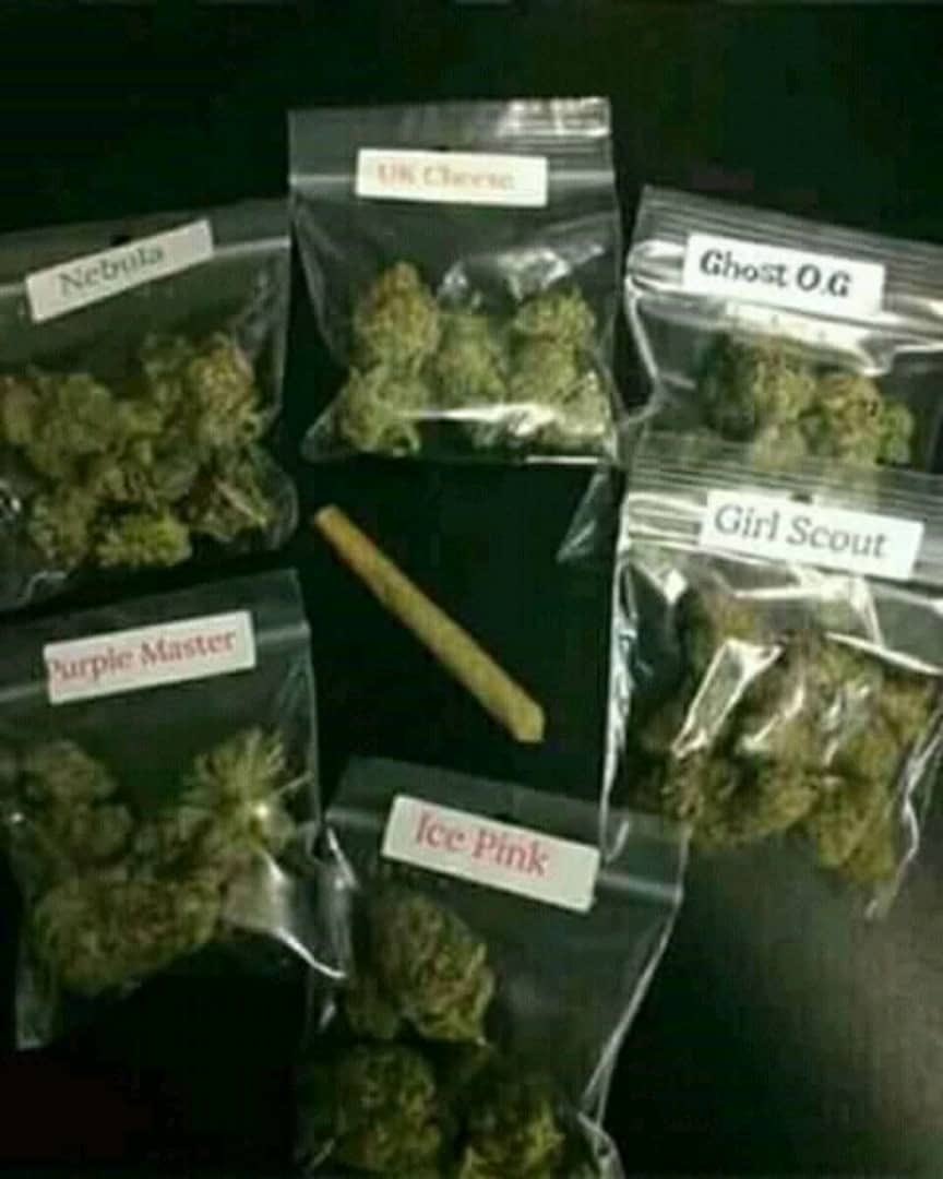 blesssilver1's tweet image. 