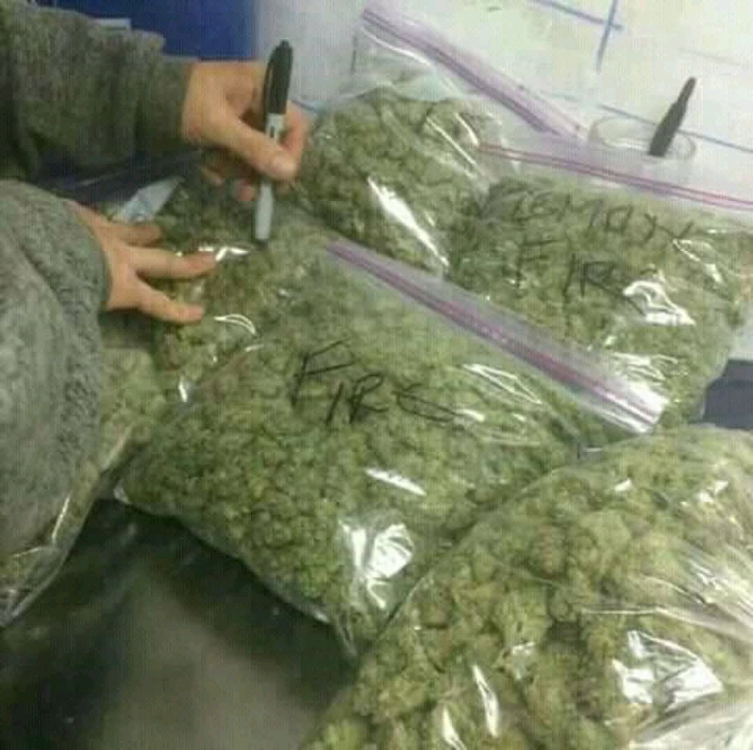 blesssilver1's tweet image. 