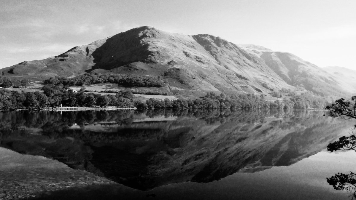 Day 7 of 7 B&amp;W photos of my life. No humans no explanations. <a href="/RichardHellen/">Richard Hellen</a> might like this last one too